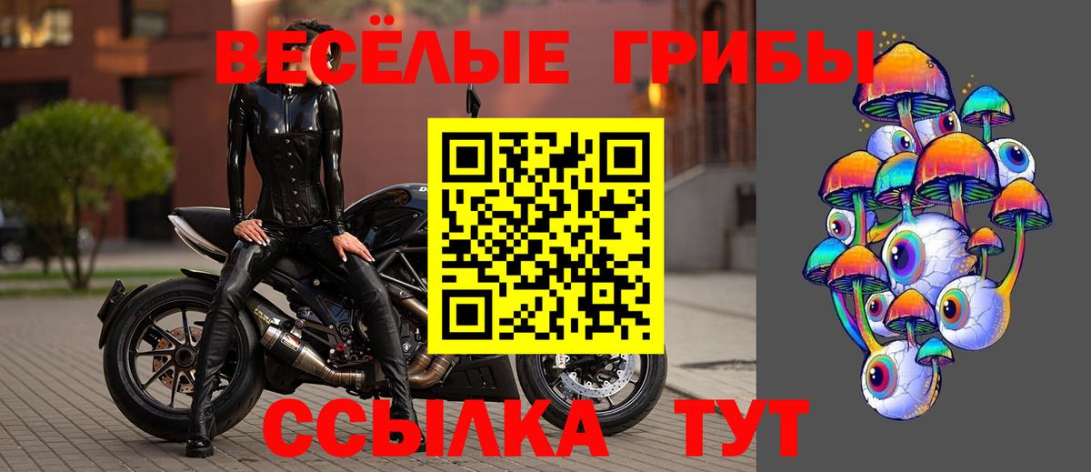 Псилоцибиновые грибы мицелий Северобайкальск